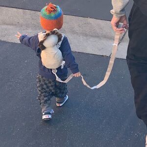 Cute Lion back 🦁 Pack